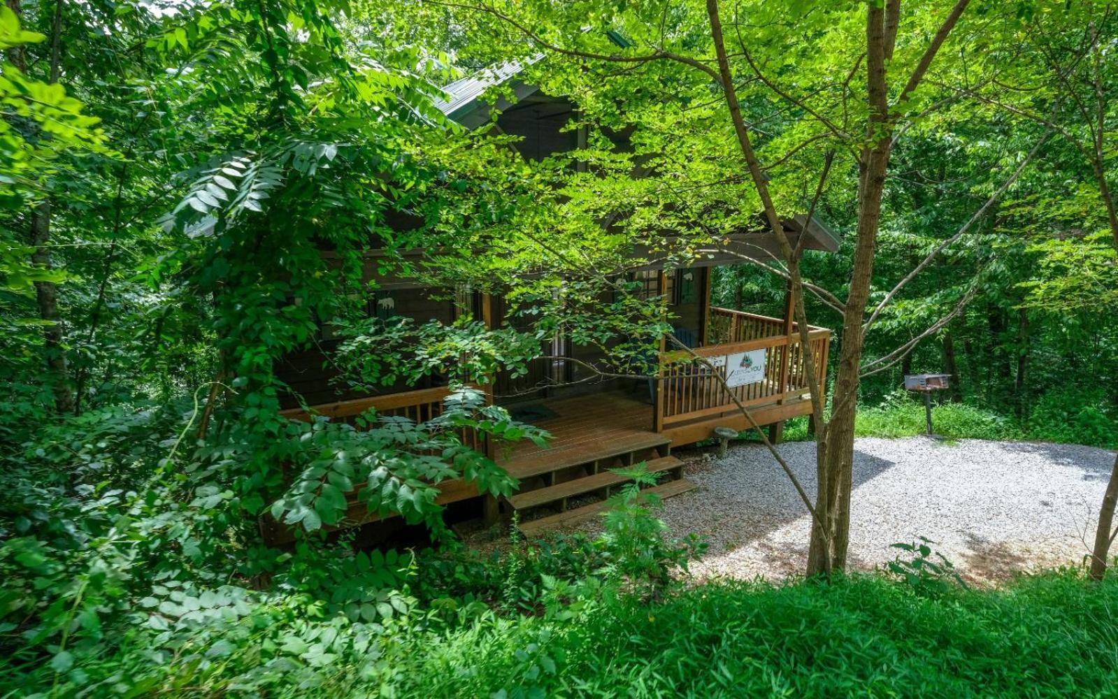 The Tree House Villa Gatlinburg Dış mekan fotoğraf